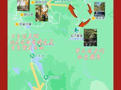 -广州市石门国家森林公园