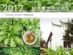 时令有机蔬菜及野菜-武汉世外桃源农庄