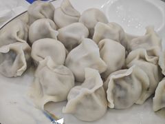 羊肉香菜饺子-老回回饺子馆(海洋馆店)