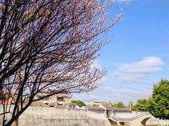 -中国客家博物馆