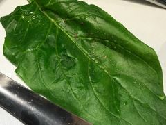 菠菜-东来顺饭庄(王府井步行街店)