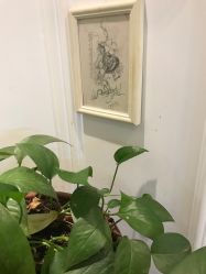 点击看大图 -长沙纹身· 龙堂刺青·三土师傅的店