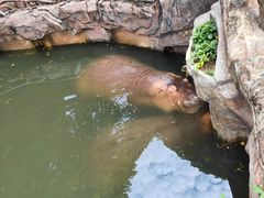 -长鹿旅游休博园