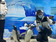 -重庆欢乐海底世界