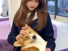 -怪兽屋·羊驼·猫咖·狗咖(俊华广场店)