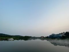 -大塘金香草谷