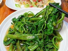 -广达眼镜炖罐(广达店)