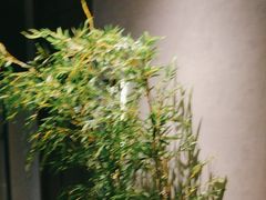 -百富源·海鲜辽菜(张士店)