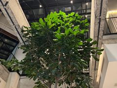 -大树餐厅(红旗街万达店)