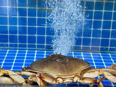 -碧海银沙海鲜餐厅(恒大海上威尼斯店)