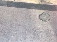 -皮拉尔圣母圣殿主教座堂