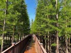 -双山岛