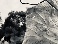 -长广溪湿地公园