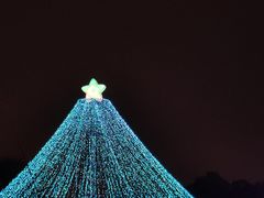 -国际非物质文化遗产博览园
