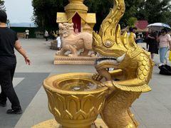 -西双版纳勐泐文化旅游区