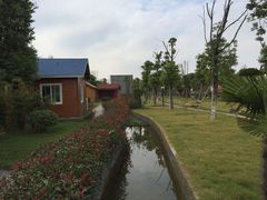 -金色田园农家乐餐厅