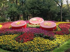 -上海共青森林公园