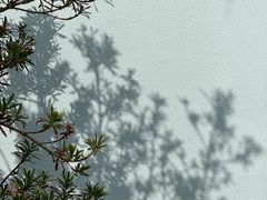 -毗山遗址-慈云寺