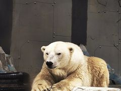 -沈阳海洋探索中心