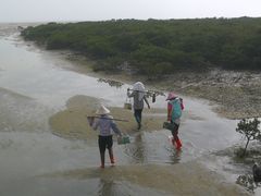 -北海金海湾红树林生态旅游区