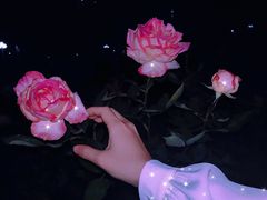 -人民公园(罗湖区)