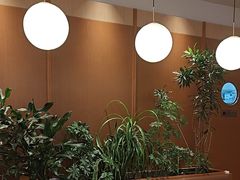 -奈雪的茶(印象城店)