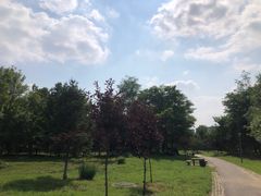 -莫子山公园