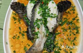 Lucky Prosperity Green Stone Grouper