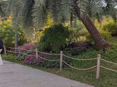 -云溪植物园