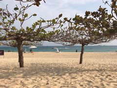 -三亚亚龙湾天域度假酒店