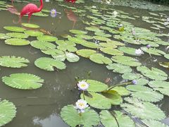 -广州莲花山旅游区