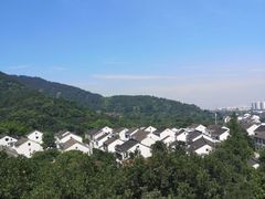 -树山生态村