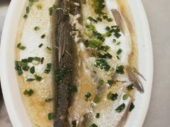 -京城小江南·北京烤鸭·江南土菜·白鱼(中关村店)