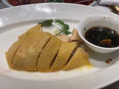 白斩散养草鸡-红城阁·上海味道(四平路店)