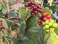 -后谷咖啡(建设巷店)