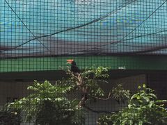 -九龙公园