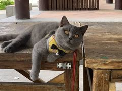 -西关竹园(荔枝湾店)