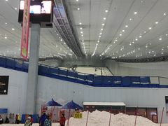 -哈尔滨热雪奇迹