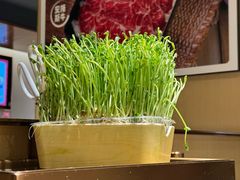 -海底捞火锅(正大乐城店)