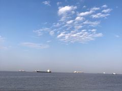 -上海滨江森林公园