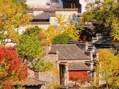 -塔川景区