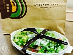 水果果汁-油梨树AVOCADO TREE(顺义新国展店)