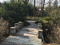 -金孔雀温泉旅游度假村