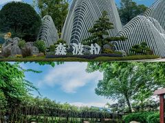 -森波拉火山温泉