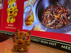 -遇东北林区铁锅炖(南开店)