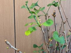 -素禅棋牌会所(海阳路店)