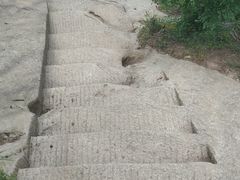 -鲁山国家森林公园