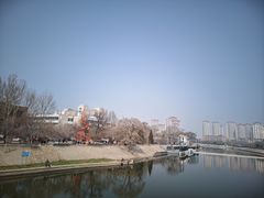 -桃花堤公园