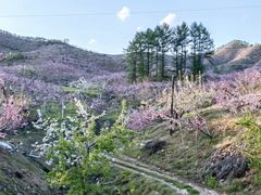 -河口景区
