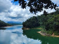 -广州市流溪河国家森林公园